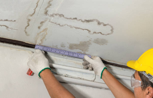 Reliable Mold Remediation contractor in Goldsboro, NC by Local Water Damage Repair
